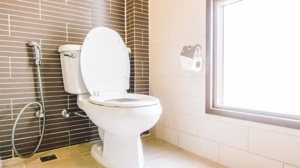 How Much Does it Cost to Replace a Toilet in Ireland? 3 cost of toilet replacement ireland